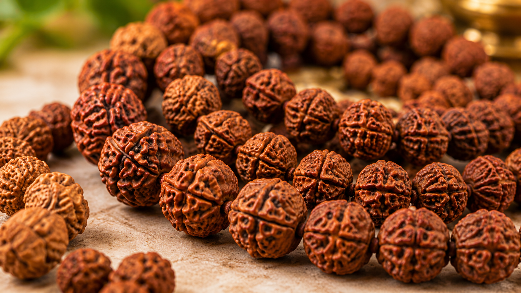 Rudraksha beads and malas