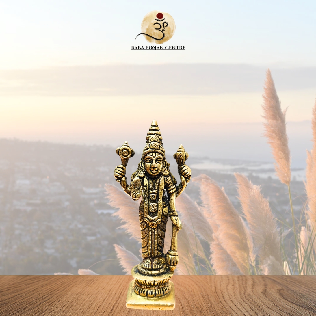 Brass Lord Vishnu Idol