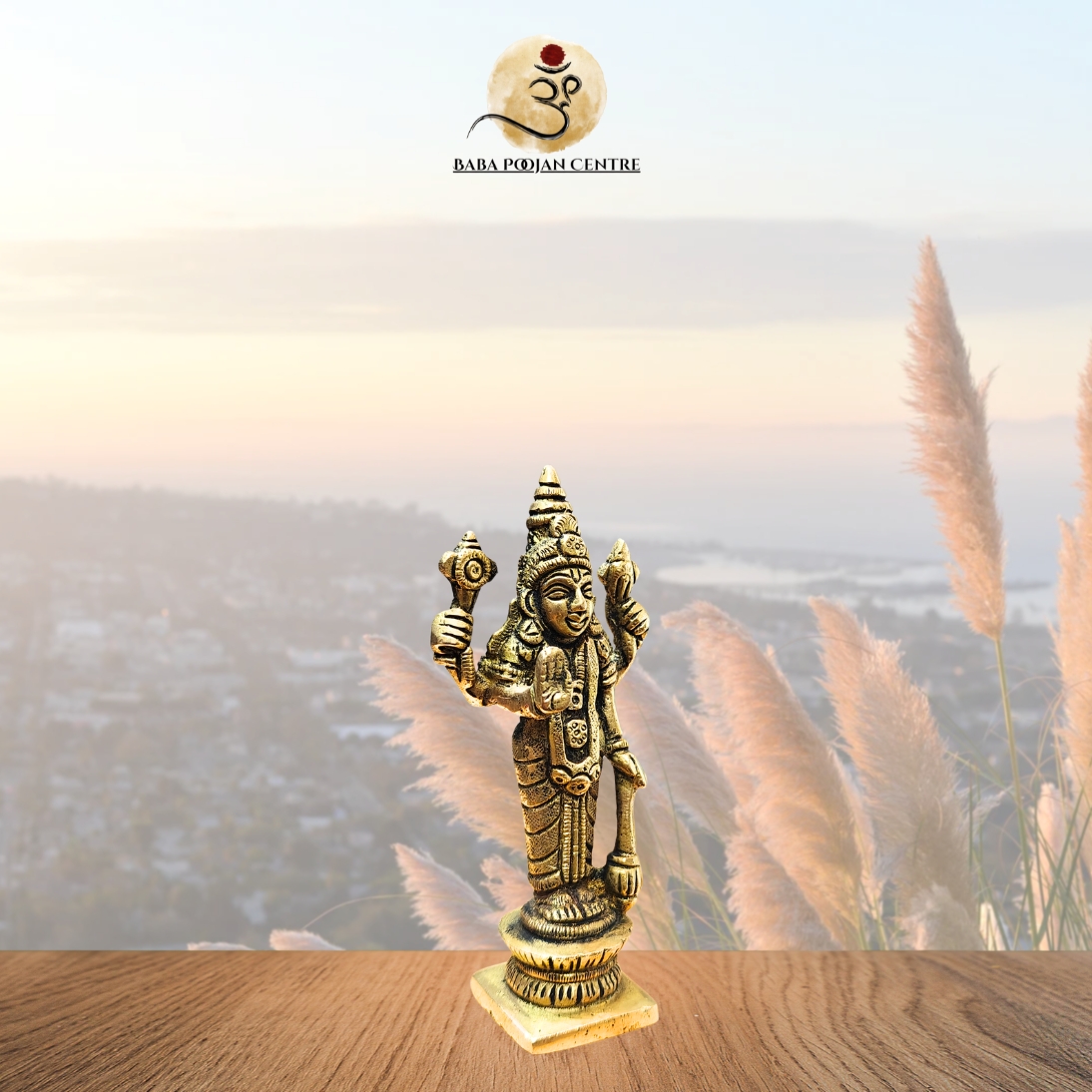 Brass Lord Vishnu Idol - Image 2